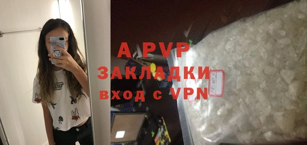 СК Балахна