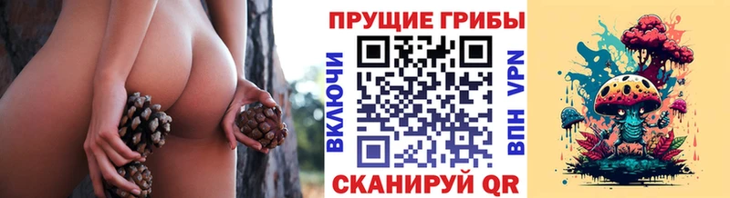 Галлюциногенные грибы мухоморы  маркетплейс какой сайт  Сретенск  хочу наркоту 