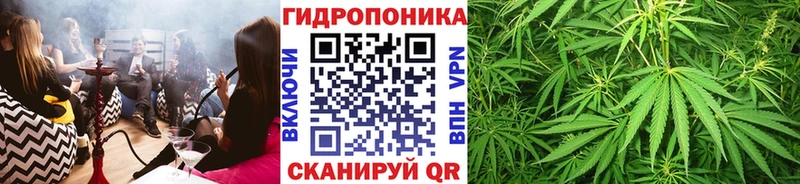 дарнет шоп Сретенск МАРИХУАНА SATIVA & INDICA